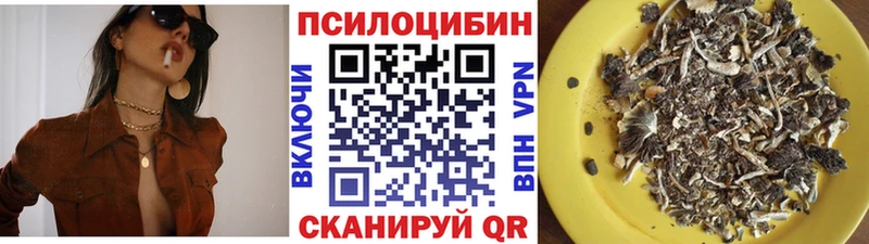 купить Борзя Псилоцибиновые грибы MAGIC MUSHROOMS