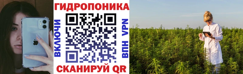 магазин    Борзя  Конопля индика 